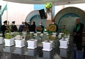 حضور خادمان حرم رضوی در استان البرز+ تصاویر