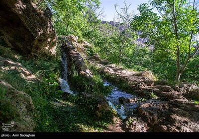 طبیعت روستای دشتک –فارس