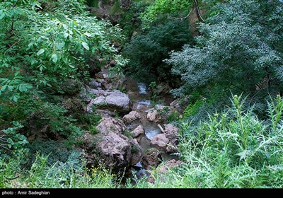 طبیعت روستای دشتک –فارس