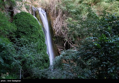 آب‌وهوای این روستا در بهار و تابستان معتدل و در پاییز و زمستان سرد است. روستای کوهستانی دشتک با اقلیم معتدل، پوشش جنگلی، باغات وسیع، چشمه‌ساران فراوان، آبشار‌های زیبا و مناظر و چشم‌اندازهای دل‌نواز، به‌ویژه در فصل‌های بهار و تابستان، فضای بسیار جذابی را پدید می‌‌آورد.