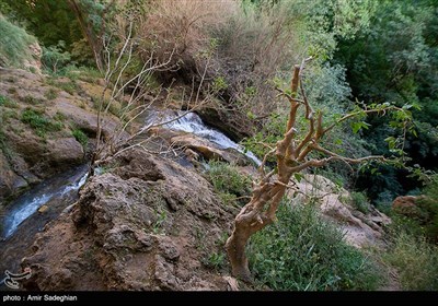 آب‌وهوای این روستا در بهار و تابستان معتدل و در پاییز و زمستان سرد است. روستای کوهستانی دشتک با اقلیم معتدل، پوشش جنگلی، باغات وسیع، چشمه‌ساران فراوان، آبشار‌های زیبا و مناظر و چشم‌اندازهای دل‌نواز، به‌ویژه در فصل‌های بهار و تابستان، فضای بسیار جذابی را پدید می‌‌آورد.