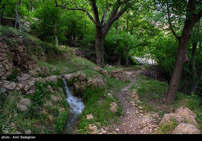 طبیعت روستای دشتک –فارس