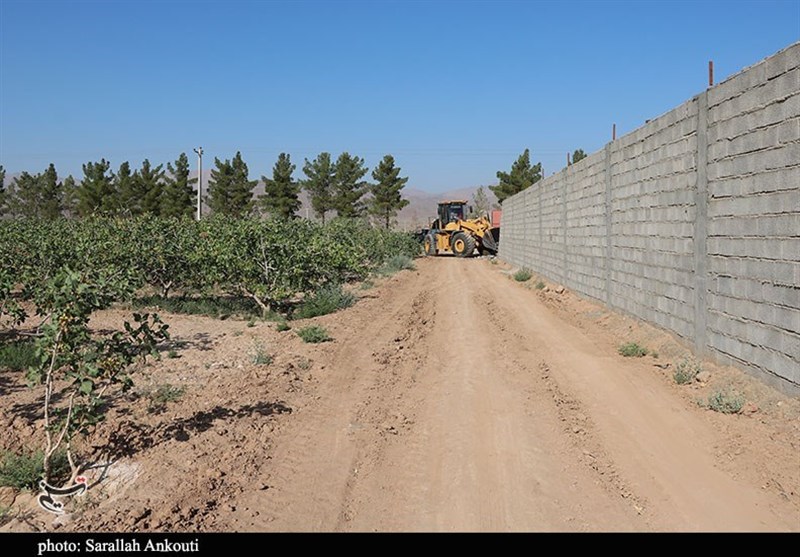 تغییر کاربری اراضی کشاورزی در استان اردبیل ممنوع شد