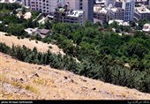 30 مورد ساخت و ساز غیرمجاز در اراضی نوشهر تخریب شد
