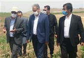 وزیر جهاد کشاورزی در اردبیل: 10 هزار هکتار از اراضی پایاب سد خداآفرین در اختیار کشاورزان قرار گرفته است