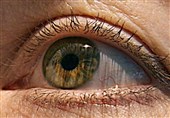 Declining Eyesight Can Be Improved by Looking at Deep Red Light
