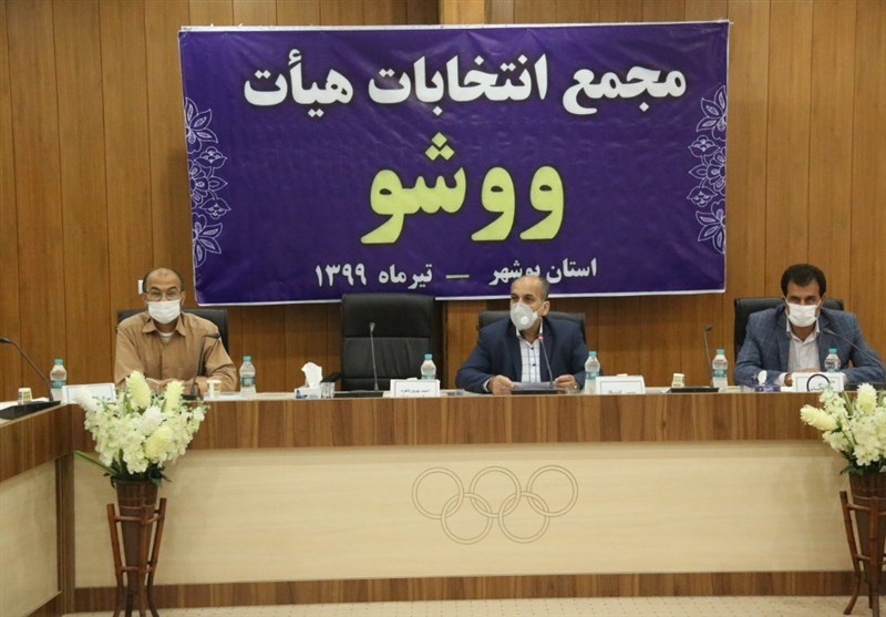 رئیس هیئت ووشوی استان بوشهر انتخاب شد