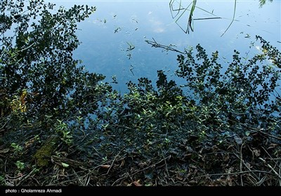 دریاچه ممرز نوشهر