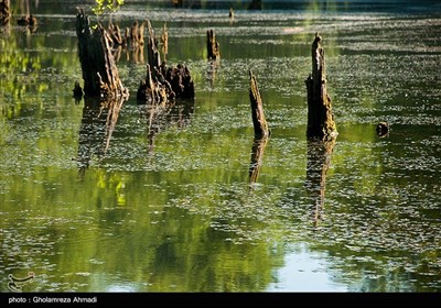دریاچه ممرز نوشهر