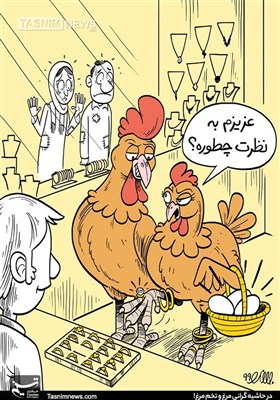 کاریکاتور/ در حاشیه گرانی مرغ و تخم مرغ / سبد غذایی قشر ضعیف‌ هر روز خالی‌تر می‌شود