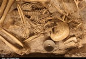 ماجرای کشف گور 3 هزار ساله در سگزآباد / فرهنگ، تمدن غنی و قدمت 3 هزار ساله منطقه قزوین ثابت شد + فیلم
