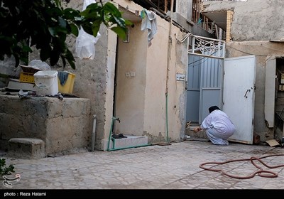 در بهار و تابستان به علت زاد و ولد زیاد آهوان و نبود زیستگاه کافی در جزیره تعدادی از بچه آهو ها مادران خود را از دست میدهند و محیط زیست برخی از این بچه آهو ها را به فعالین محیط محلی میدهند