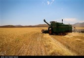 گزارش|استفاده بیرویه کشاورزان از کودهای شیمیایی/ مسئولان جهاد کشاورزی همچنان در خواب زمستانی