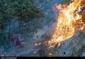 آتش سوزی در جنگل‌های بلوط بلند شهرستان اردل/ صدها هکتار جنگل در حال نابودی است