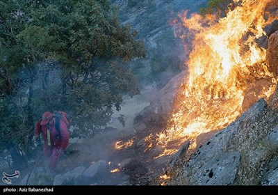 آتش سوزی در جنگلهای بلوط بلند شهرستان اردل/ صدها هکتار جنگل در حال نابودی است