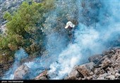 بیش از 1600 اطفاء آتش‌سوزی در اراضی جنگلی و مرتعی کشور