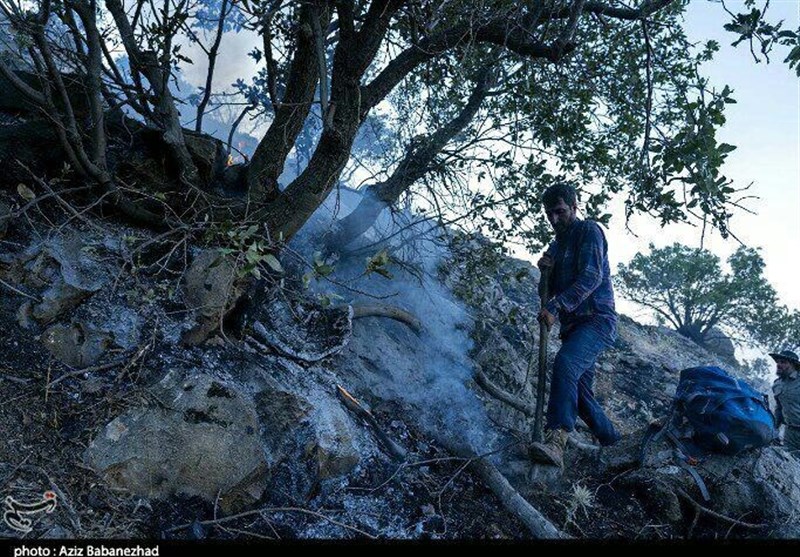 3 نفر از عاملان بروز آتش‌سوزی در منطقه جنگلی نمین دستگیر شدند