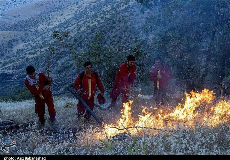 31 فقره آتش‌سوزی در مراتع استان فارس اتفاق افتاده است