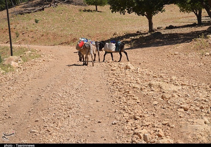 استانداری کهگیلویه و بویراحمد , 