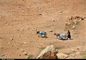 کهگیلویه و بویراحمد| 4 روستای بخش پاتاوه آب ندارند