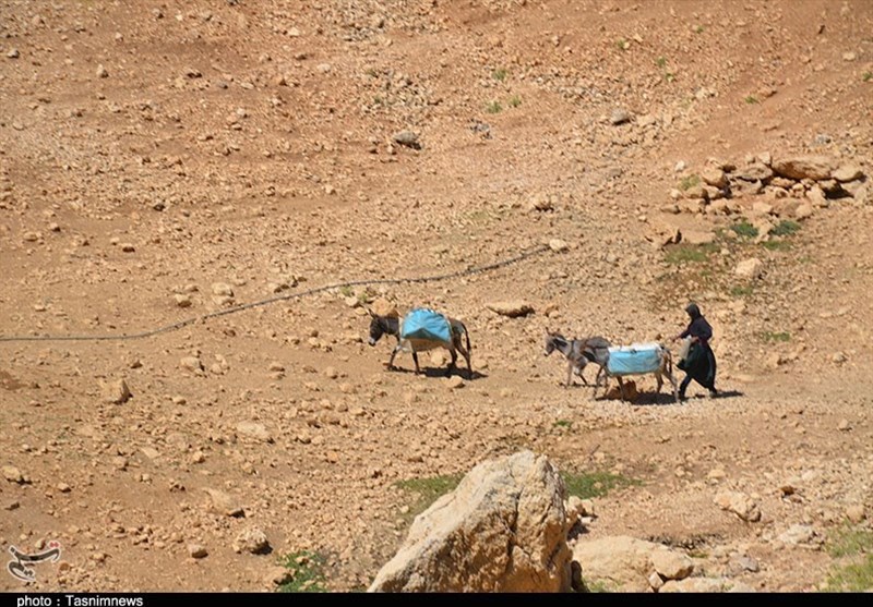 کهگیلویه و بویراحمد| 4 روستای بخش پاتاوه آب ندارند