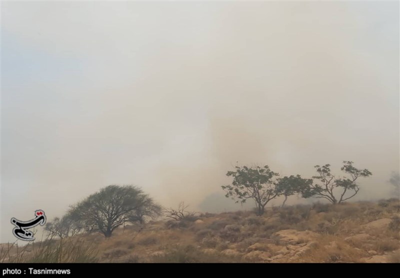آتش سوزی کوه‌های تنگ تکاب بهبهان مهار شد + تصاویر