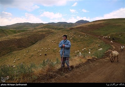 مردم غالبا از طریق دامداری زندگی خود را می گذرانند.