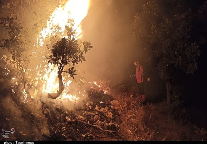 کهگیلویه و بویراحمد| جدال جنگل دمچنار با آتش + تصاویر