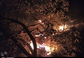 کهگیلویه و بویراحمد| 3 هزار هکتار از مراتع و جنگل‌های «دمچنار» در آتش بی تدبیری سوخت