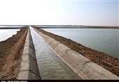 شهرک شیلاتی «رودشور» تولید میگوی پرورشی استان بوشهر را به 48 هزار تن افزایش می‌دهد