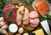Meat-Eating Boosts Muscle Health Better than Plant-Based Diet: Study