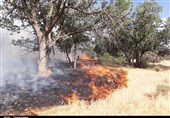 کهگیلویه و بویراحمد| آتش‌سوزی جنگل‌های دمچنار بعد از 4 شبانه روز مهار شد