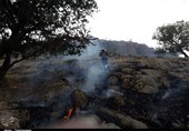 آتش در جنگل‌های زاگرس همچنان زبانه می‌کشد / حریق در جنگل‌های دمچنار 4 روزه شد+تصاویر