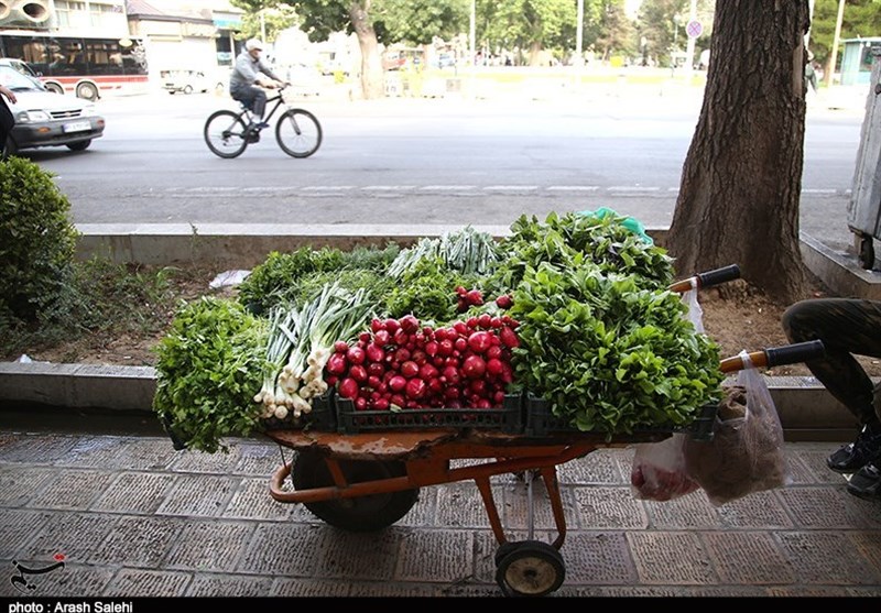 عرضه مواد غذایی روباز در غفلت نهادهای نظارتی به روایت تصویر