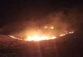 آتش‌سوزی 2400 هکتار از اراضی منابع طبیعی استان بوشهر