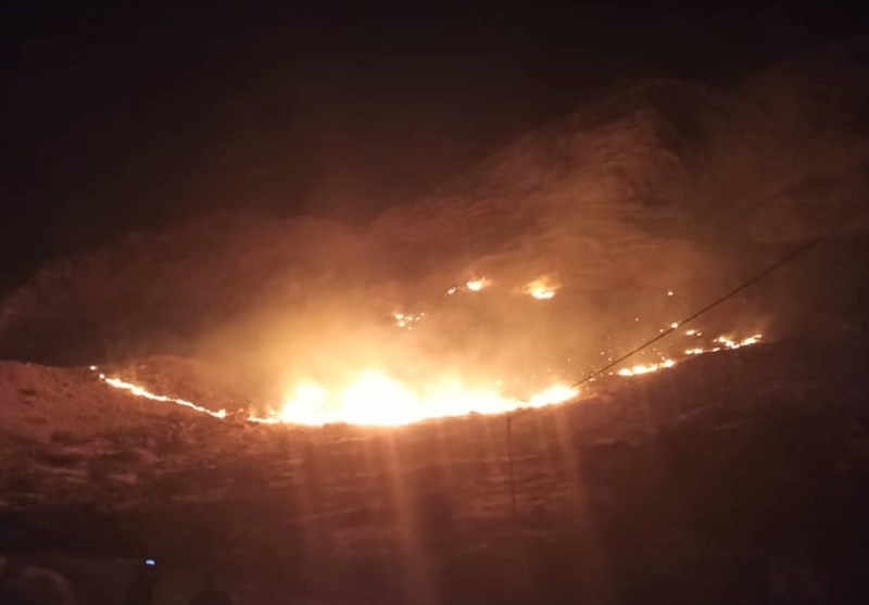 آتش‌سوزی 2400 هکتار از اراضی منابع طبیعی استان بوشهر