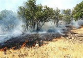 مهار آتش‌سوزی در ارتفاعات ثلاث‌باباجانی/ بیش از 10 هکتار از مراتع و جنگل‌ها طعمه حریق شد