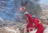 آتش‌سوزی در مراتع و جنگلی تنگ‌سدر استان بوشهر ‌خاموش شد