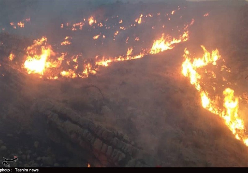آتش‌سوزی گسترده در ارتفاعات شیراز/ تلاش نیروهای مردمی و امدادی برای مهار آتش