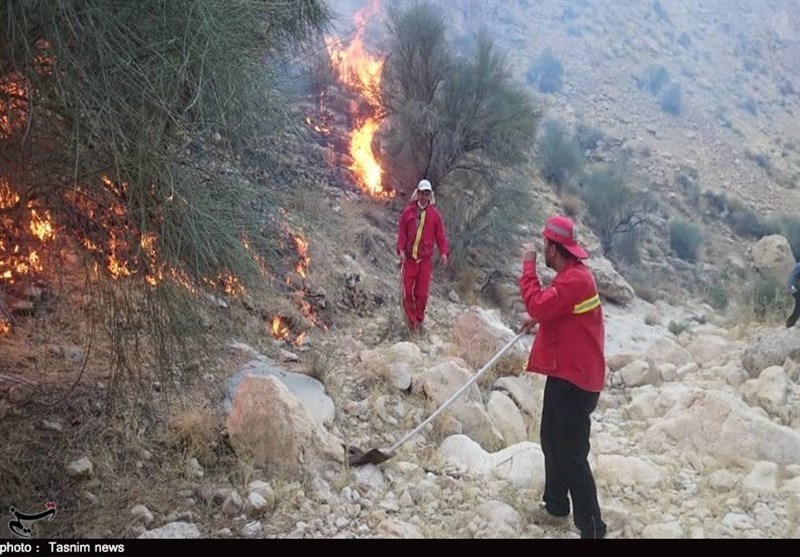 مهار آتش‌‎سوزی در مراتع کوهستانی &quot;تنگ‌سدر&quot; استان بوشهر به روایت تصویر