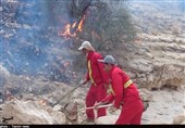 حریق در بیش از 1500 هکتار از مراتع استان مرکزی/ 6 شهرستان بیشترین آمار آتش‌سوزی را داشت