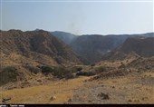 کاهش آتش‌سوزی در مراتع و جنگل‌های منابع طبیعی استان بوشهر