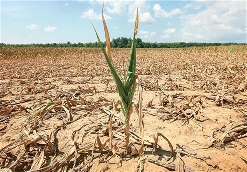 تبعات ناخوشایند تغییر اقلیم / خشکسالی چهارمحال و بختیاری را تهدید می‌کند