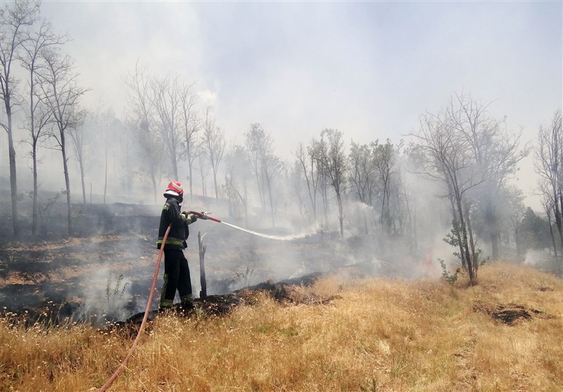 ردپای 2 مظنون در پرونده آتش‌سوزی‌های اخیر قزوین / سوزاندن زمین به کیفیت محصولی کمکی نمی‌کند ‌