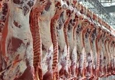  تولید گوشت قرمز ۱۹ درصد افزایش یافت 