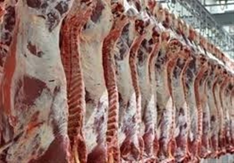 ارز واردات 170 هزار تن گوشت قرمز اختصاص یافت