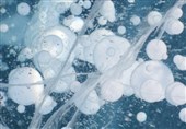 Methane Emissions Rise by Nine Percent in A Decade