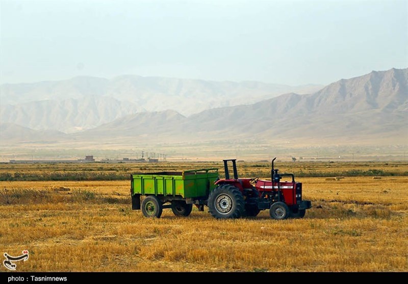 کشاورزی , استانداری خراسان شمالی , قیمت نان , عکس , 