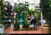 درآمدزایی از گلهای زینتی به جای پیگیری استخدام دولتی /گلخانهام روز به روز وسیعتر میشود