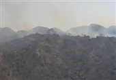 3 هزار هکتار از مراتع و جنگل‌های منابع طبیعی استان بوشهر دچار حریق شده است